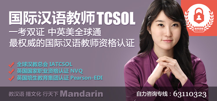 国际汉语教师TCSOL