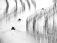 黑白霞浦
