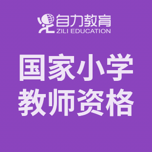 国家小学教师资格（网络）班